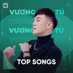 Ca nhạc Top Songs: Vương Anh Tú - Vương Anh Tú
