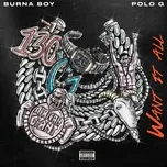 Nghe nhạc Want It All (feat. Polo G) - Burna Boy
