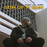 Son Of A Gun (Single) - DANNY THE DAWG