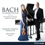 Ca nhạc J.S. Bach: Sonate en trio pour orgue no.3 in D Minor, BWV 527: II. Adagio e dolce (Single) - Melisande Corriveau, Eric Milnes