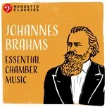 Johannes Brahms: Essential Chamber Music - V.A