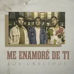 Download nhạc Me Enamore De Ti (Single) về máy