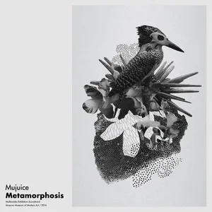 Metamorphosis - Mujuice