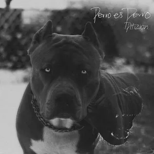 Perro Es Perro (Single) - Pitizion