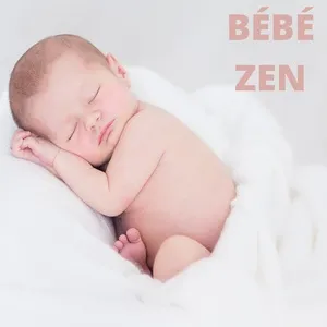 Bebe Zen - V.A