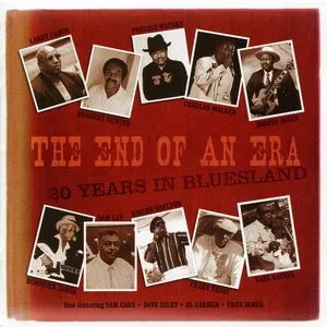 The End of An Era: 20 Years in Bluesland - V.A