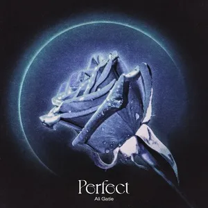 Perfect (Single) - Ali Gatie