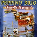 Ca nhạc Raccolta Di Successi, Vol. 1 - V.A