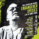 Download nhạc hay Endangered Species (Tony Ashton & Friends Live at Abbey Road) trực tuyến