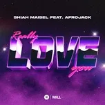 Nghe nhạc Really Love You (Single) - Shiah Maisel, Afrojack