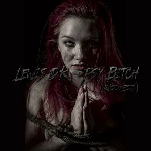 Psy Bitch (Radio Edit) (Single) - Lewis DK