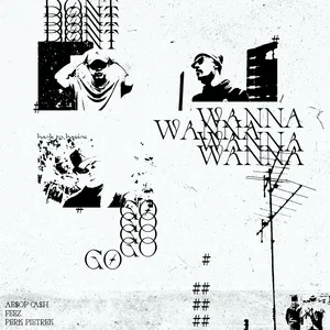Don't Wanna Go (Single) - AESOP CASH, Feez., Perk Pietrek, V.A