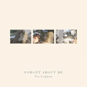 Forget About Me (Single) - Tim Linghaus