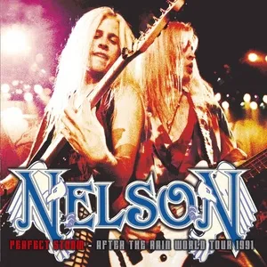 Perfect Storm (After The Rain World Tour 1991) - Nelson