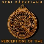 Ca nhạc See You Later (Single) - Sebi Barzeianu