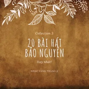 Collection 4 - Bảo Nguyên