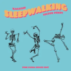 Sleepwalking (Pink Panda House Edit) (Single) - KALUSH, Victor Perry