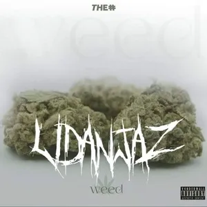 Weed / วัชพืช (Single) - LIDANJAZ