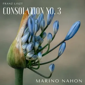 Consolations, S. 172: No. 3, Lento placido (Live) (Single) - Marino Nahon