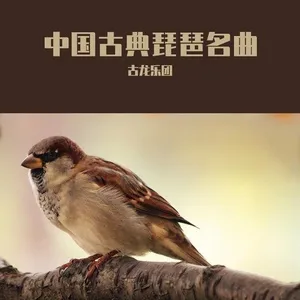 Classical Chinese Pipa Songs / 中国古典琵琶名曲 - Cổ Long Nhạc Đoàn