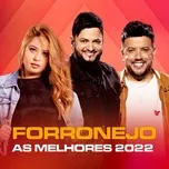 Tải nhạc hot Forronejo - As Melhores 2022 về máy
