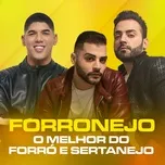 Forronejo - O Melhor do Forro e Sertanejo - V.A