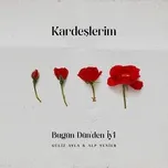 Tải nhạc Bugun Dunden Iyi (Orijinal Dizi Muzigi) (Single) - Guliz Ayla, Alp Yenier