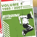 Nghe nhạc 1985/2007 Sucessos Regravados (Vol. 1) - Biquini Cavadao