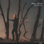 Small Steps (Single) - Ron Adelaar