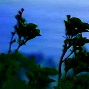 Nghe nhạc Hallelujah (Charlotte Sands Version) (Single) - Underoath, Charlotte Sands