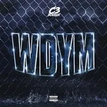 Nghe nhạc WDYM (Single) - C3 Boogie, Krashh