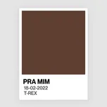 Ca nhạc Pra Mim (Single) - T-Rex