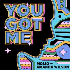 Ca nhạc You Got Me (Single) - Molio, Amanda Wilson