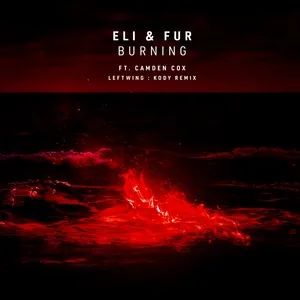Burning (Leftwing : Kody Remix) (Single) - Eli And Fur, Camden Cox