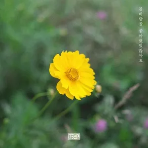 Nghe ca nhạc Once in a spring breeze (Single) - Pretty Brown