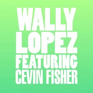 Don't Stop (Single) - Wally Lopez, Cevin Fisher