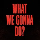 Ca nhạc What We Gonna Do? (Single) - Vanilla Ace, Dharkfunkh