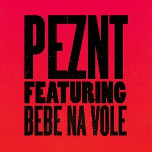 Can You Feel (Single) - Peznt, Bebe Na Vole