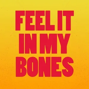 Feel It in My Bones (EP) - V.A
