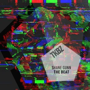 The Beat (Single) - SHANE GUNN