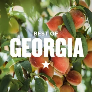 Best Of Georgia - V.A
