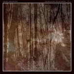 Nghe nhạc Untouched Rainforest, Pt.1 (Single) - Akira Kosemura