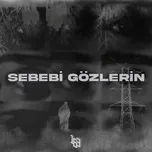 Nghe nhạc SEBEBI GOZLERIN (Single) - 163