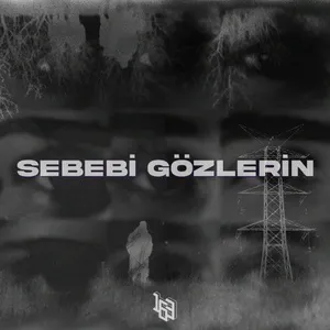 SEBEBI GOZLERIN (Single) - 163