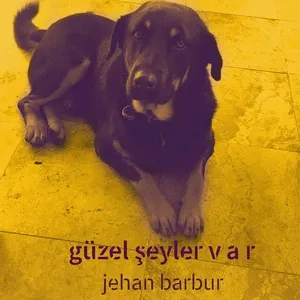 Ca nhạc Guzel Seyler Var (Single) - Jehan Barbur