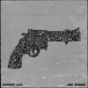 Want Do (Single) - NS Gang