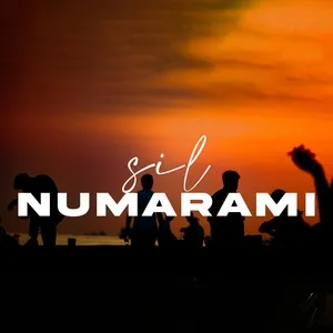Sil Numarami (Single) - Berkay Altunyay