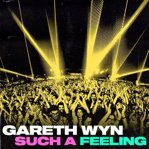 Nghe nhạc Such A Feeling (Single) - Gareth Wyn