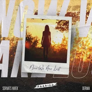 Now We Are Lost (Single) - Sorvats Nivek, DERWA