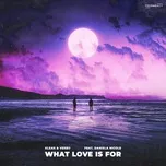 Nghe ca nhạc What Love is For (Single) - Kleak, Veebu, Daniela Nicole